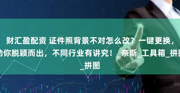 财汇盈配资 证件照背景不对怎么改？一键更换，助你脱颖而出，不同行业有讲究！_奈斯_工具箱_拼图