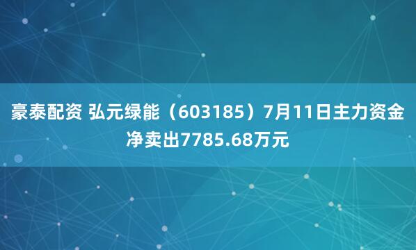豪泰配资 弘元绿能（603185）7月11日主力资金净卖出7785.68万元