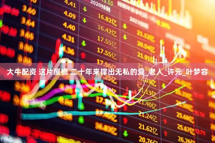 大牛配资 这片屋檐 二十年来撑出无私的爱_老人_许元_叶梦容