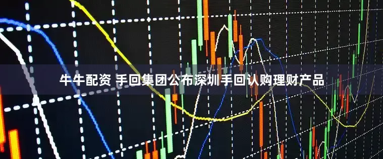 牛牛配资 手回集团公布深圳手回认购理财产品