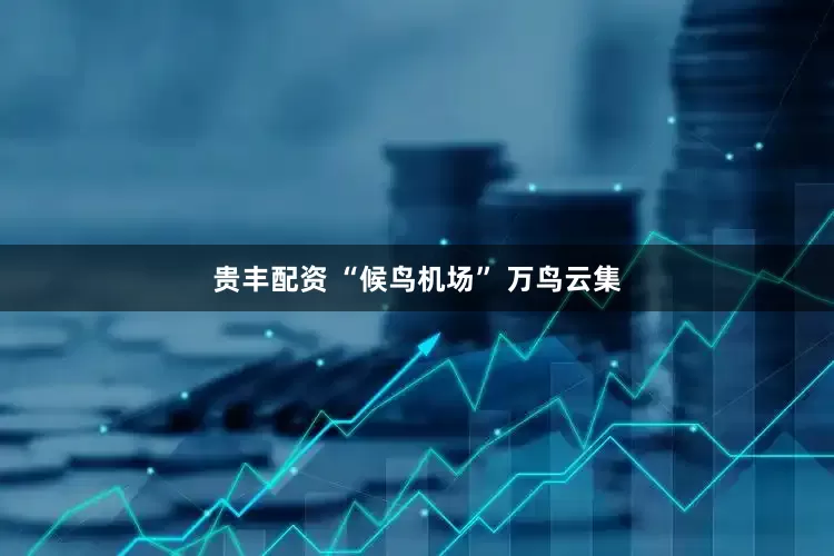 贵丰配资 “候鸟机场” 万鸟云集