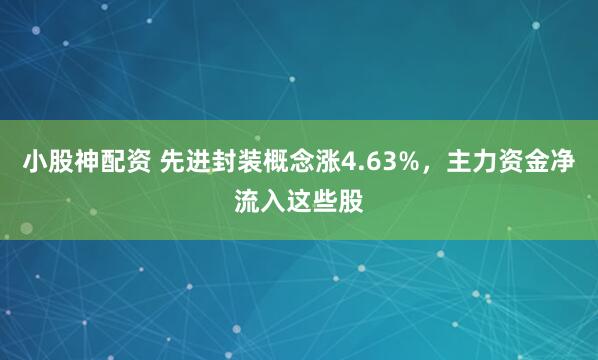 小股神配资 先进封装概念涨4.63%，主力资金净流入这些股